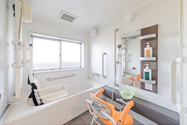 Bathroom Disability Renovation - Bathroom Disability Renovation Winston Salem, North Carolina