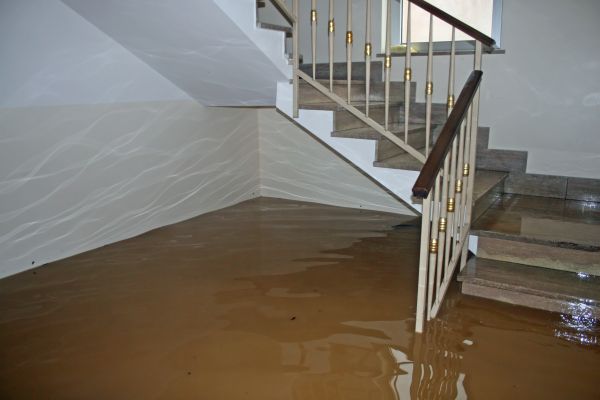 Water Damage Cleanup Service - Water Damage Cleanup Service Arvada, Colorado