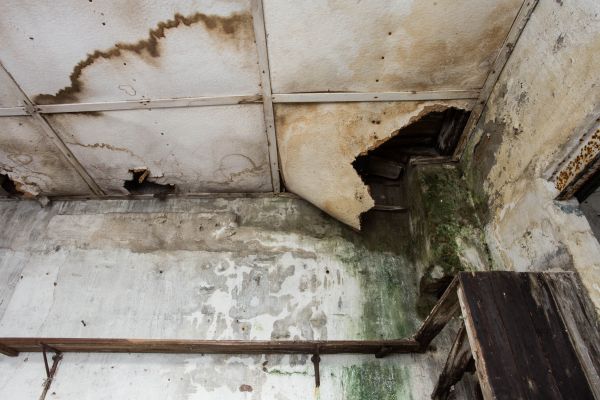 Water Damage Service - Water Damage Service Suwanee, Georgia