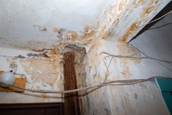 Water And Fire Damage Repair